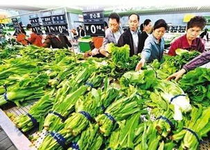 春節前菜市場探秘 蔬菜、水產、肉類價格與供應全解析