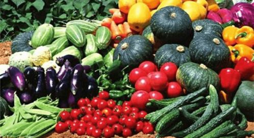 農(nóng)業(yè)農(nóng)村部關(guān)于修訂完善農(nóng)產(chǎn)品質(zhì)量安全法健全蔬菜食品安全源頭保障機(jī)制建議的答復(fù)